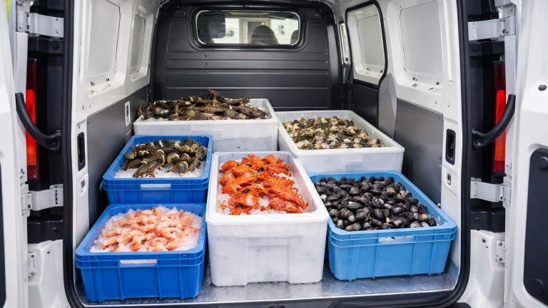 découvrez comment transporter vos fruits de mer frais en toute sécurité et efficacité avec un renault trafic ou un peugeot partner, grâce à nos conseils pratiques et astuces adaptées à ces véhicules utilitaires.